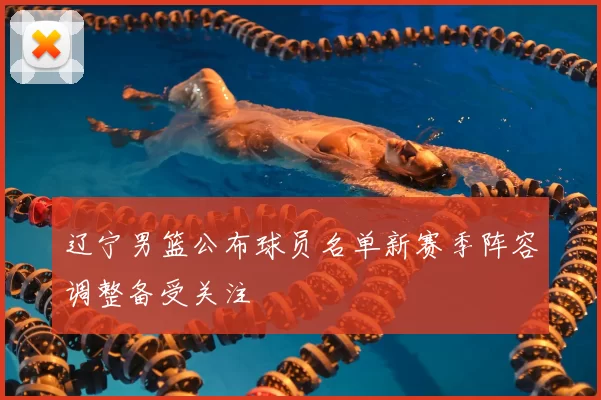 辽宁男篮公布球员名单新赛季阵容调整备受关注