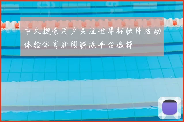 中文搜索用户关注世界杯软件活动体验体育新闻解读平台选择